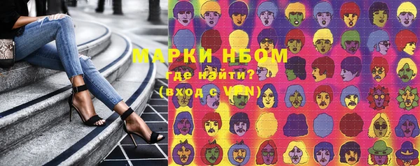 сатива Абинск