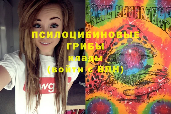 тгк Алексеевка