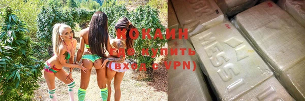 сатива Абинск