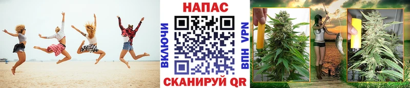 ОМГ ОМГ зеркало  Староминская  Канабис сатива 